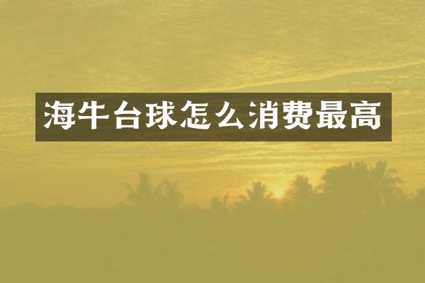 海牛台球怎么消费最高