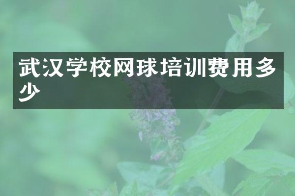 武汉学校网球培训费用多少