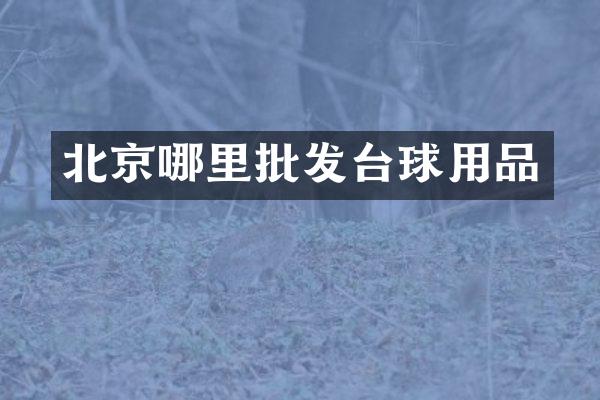 北京哪里批发台球用品