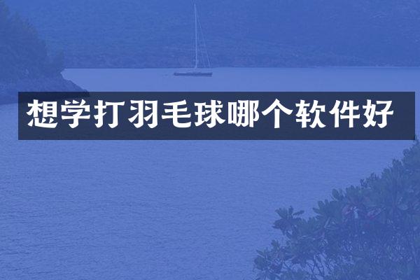 想学打羽毛球哪个软件好
