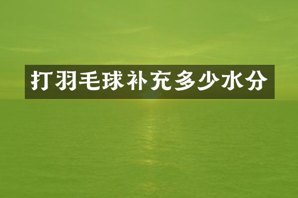 打羽毛球补充多少水分