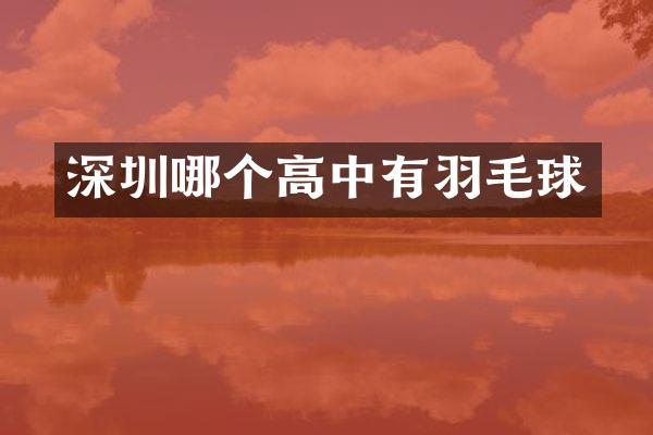 深圳哪个高中有羽毛球