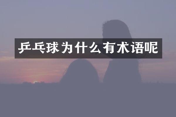 乒乓球为什么有术语呢