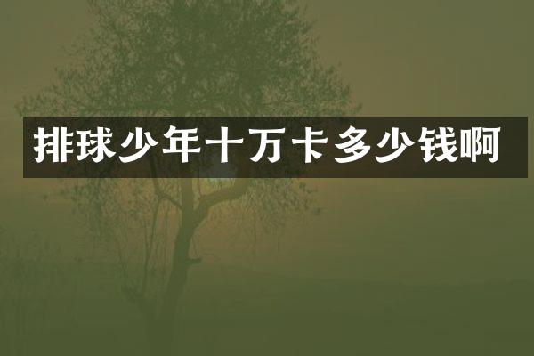 排球少年十万卡多少钱啊