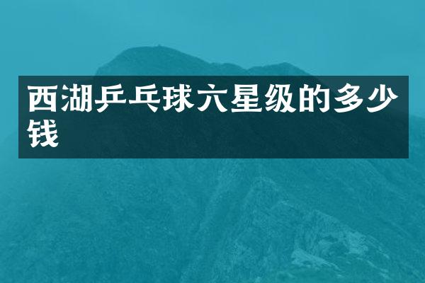 西湖乒乓球六星级的多少钱