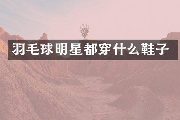 羽毛球明星都穿什么鞋子