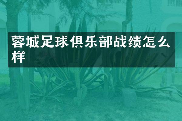 蓉城足球俱乐部战绩怎么样