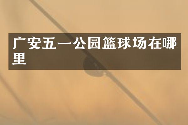 广安五一公园篮球场在哪里