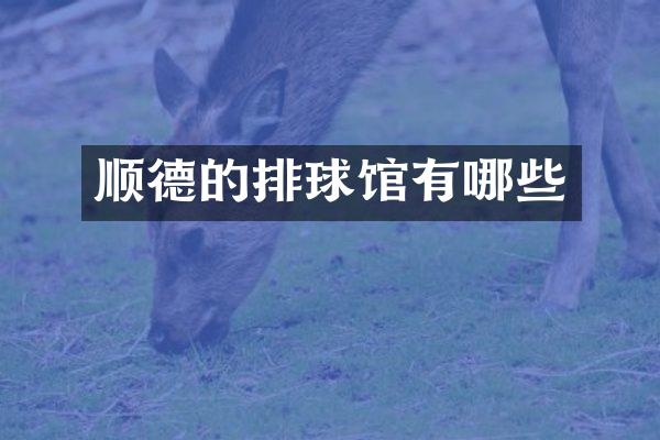 顺德的排球馆有哪些