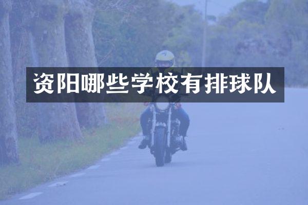 资阳哪些学校有排球队