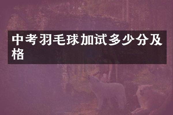中考羽毛球加试多少分及格