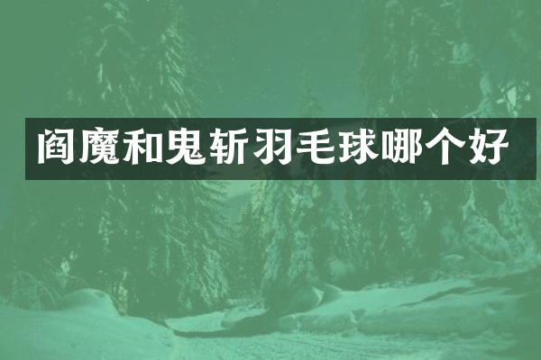 阎魔和鬼斩羽毛球哪个好