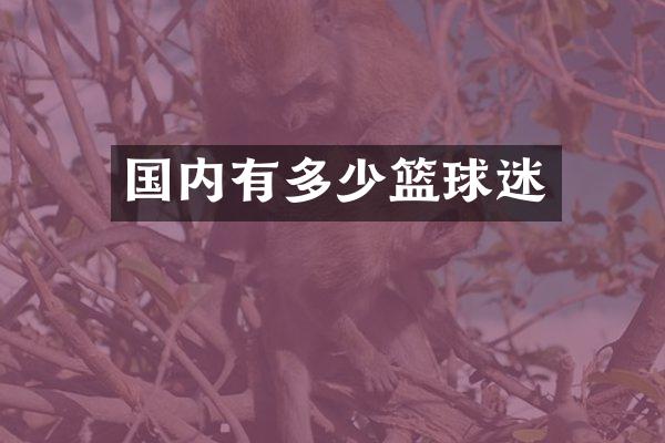 国内有多少篮球迷