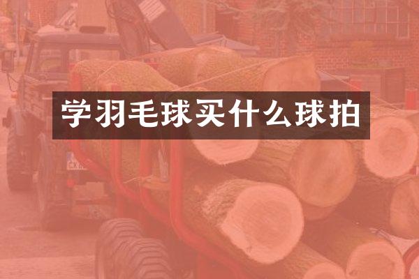 学羽毛球球拍