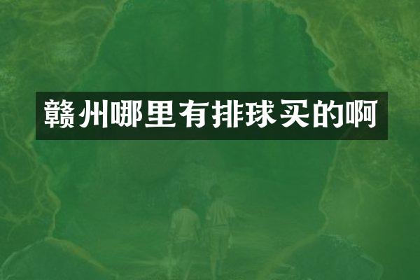 赣州哪里有排球买的啊