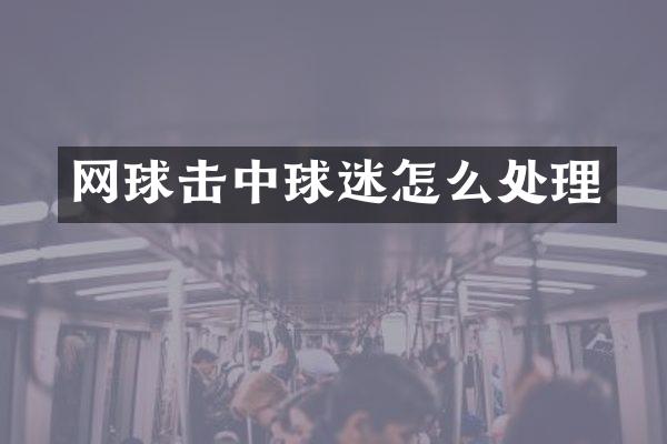 网球击中球迷怎么处理