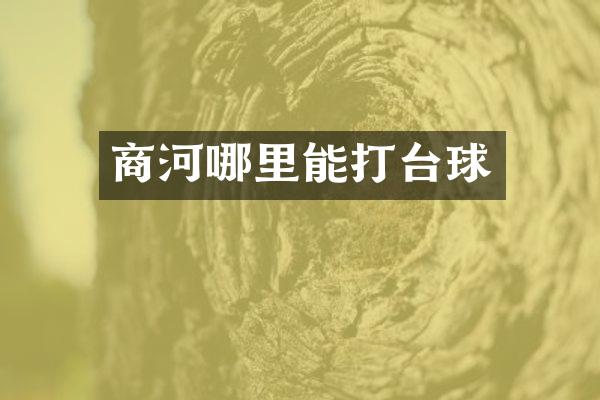 商河哪里能打台球