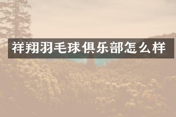 祥翔羽毛球俱乐部怎么样