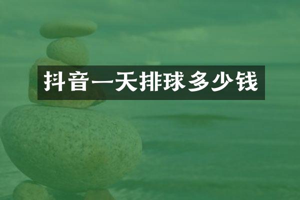 抖音一天排球多少钱