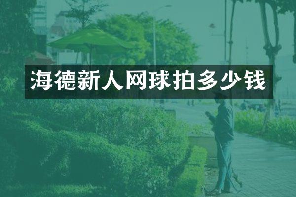 海德新人网球拍多少钱
