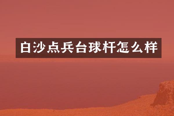 白沙点兵台球杆怎么样
