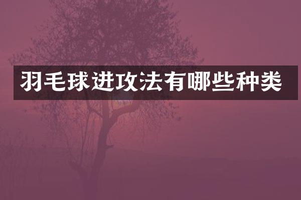 羽毛球进攻法有哪些种类