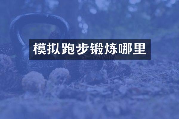 模拟跑步锻炼哪里