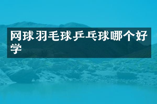 网球羽毛球乒乓球哪个好学