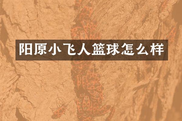阳原小飞人篮球怎么样