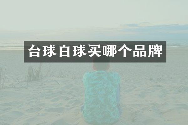 台球白球买哪个品牌