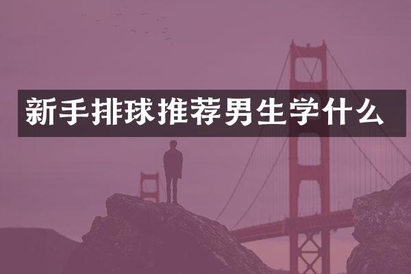 新手排球推荐男生学什么