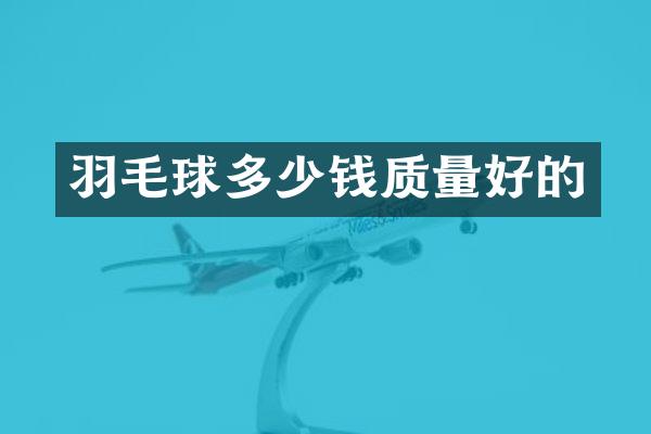 羽毛球多少钱质量好的