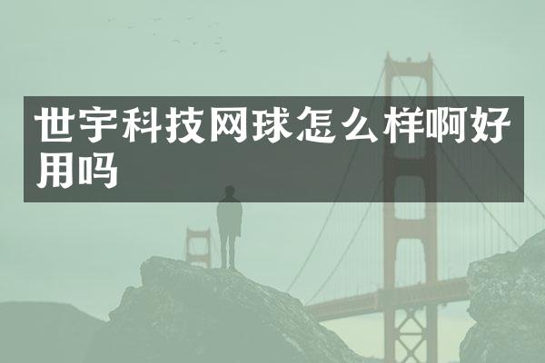 世宇科技网球怎么样啊好用吗