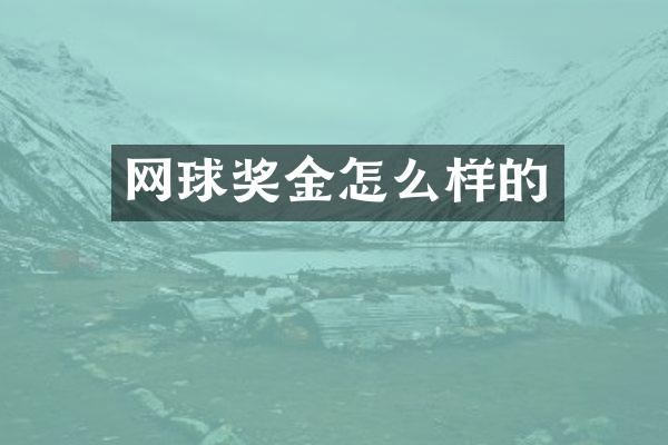 网球奖金怎么样的