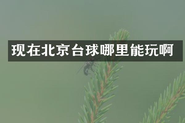 现在北京台球哪里能玩啊
