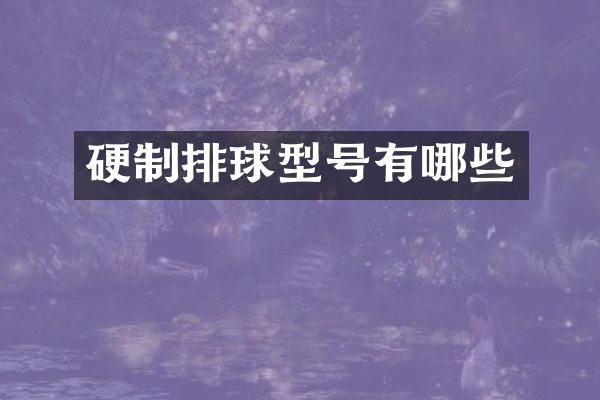 硬制排球型号有哪些