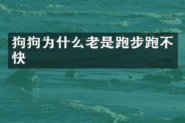 狗狗为什么老是跑步跑不快