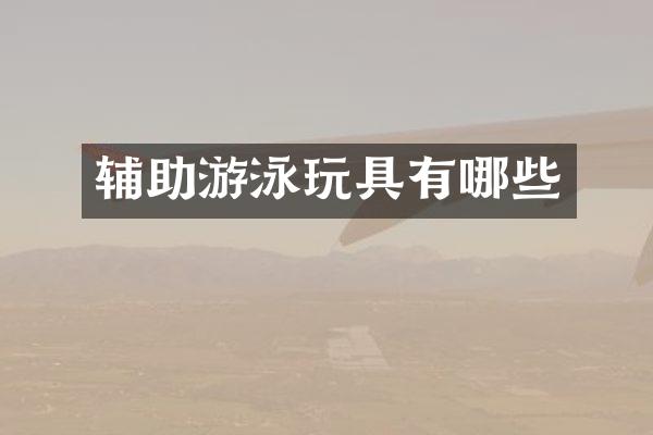 辅助游泳玩具有哪些