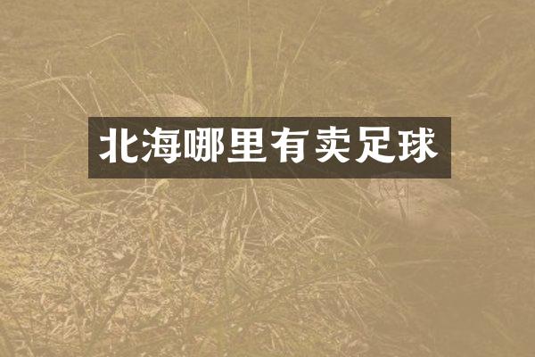 北海哪里有卖足球