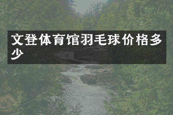 文登体育馆羽毛球价格多少