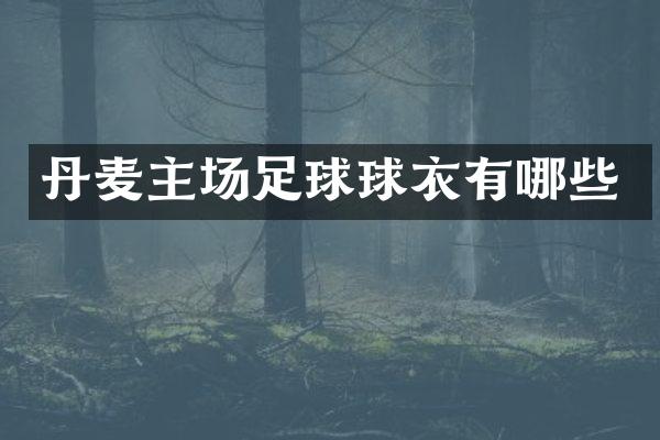 丹麦主场足球球衣有哪些