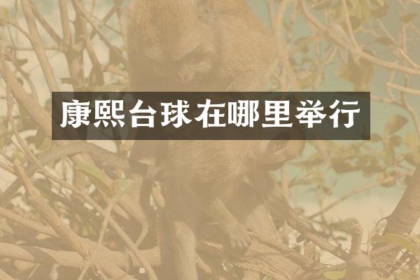 康熙台球在哪里举行