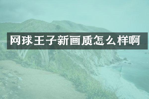 网球王子新画质怎么样啊