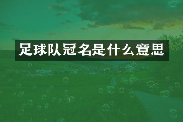 足球队冠名是什么意思