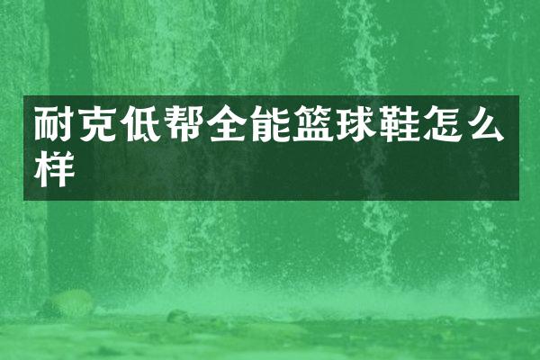 耐克低帮全能篮球鞋怎么样