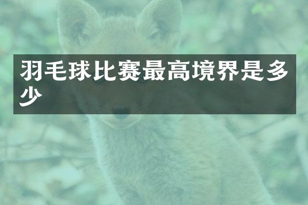 羽毛球比赛最高境界是多少