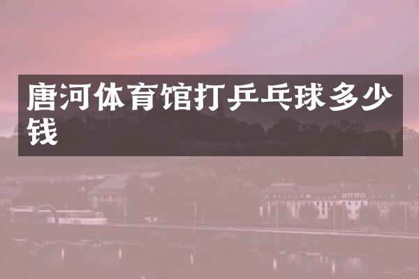 唐河体育馆打乒乓球多少钱