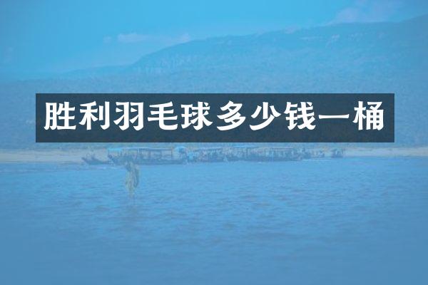 胜利羽毛球多少钱一桶
