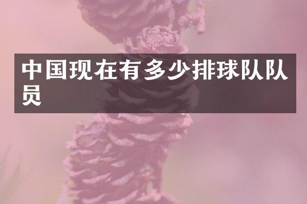 中国现在有多少排球队队员