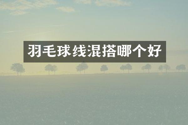 羽毛球线混搭哪个好